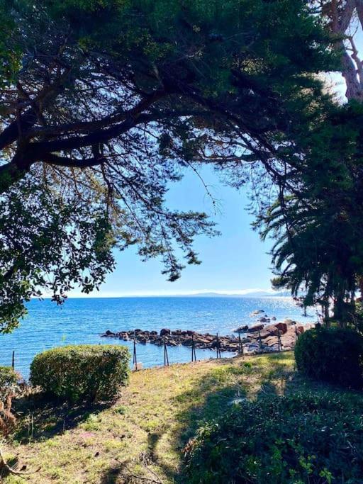 Studio Bord De Mer Boulouris A Saint Raphael エクステリア 写真